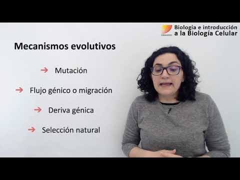 Video: ¿Cuáles son todas las fuerzas y mecanismos selectivos de la evolución?