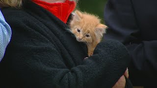 SPCA Cincinnati restarting adoptions again by appointment
