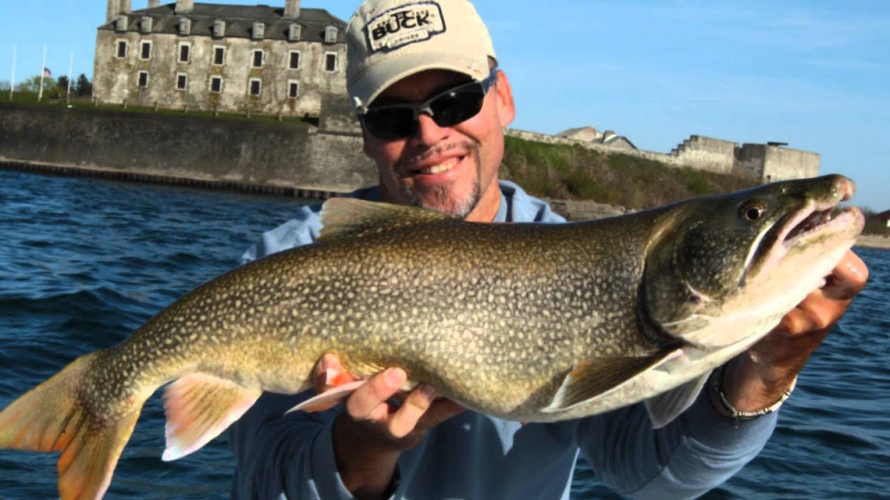 WORLD CLASS LAKE TROUT AND BRONZEBACK FISHING ON THE GREAT LAKES YouTube
