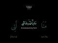 Beautiful Word-by-Word Quran Recitation: Az-Zumar 39:41-43 | Adel Ryyan #Shorts