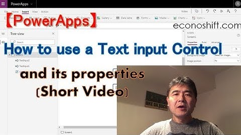 How to use a Text input Control and its properties Short Video