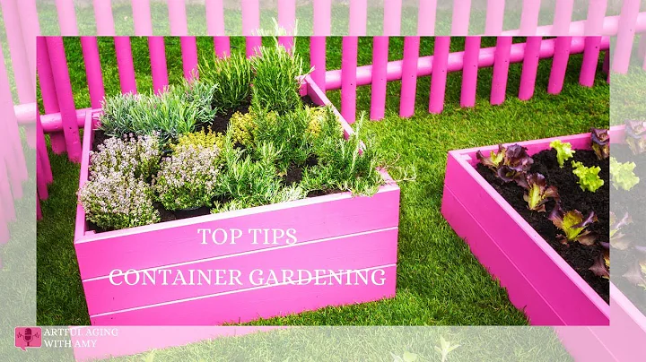 Top Tips Container Gardening