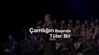 Çamlığın Başında Tüter Bir Tütün(Ziya Ağıdı)
