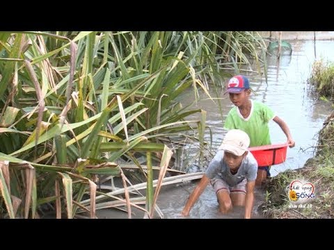 Video Đau xót 2 trẻ mồ côi Ba mất Mẹ bỏ đi biền biệt chưa... - youtube