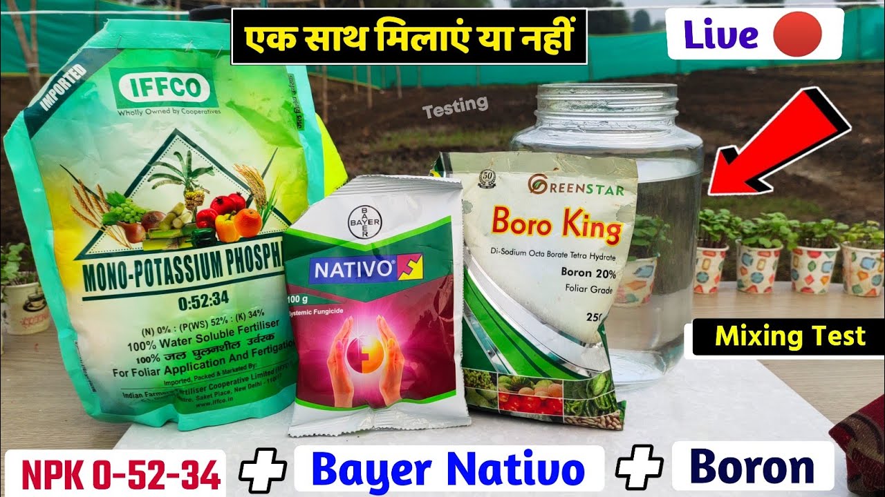 NPK 0-52-34 + Boron + Bayer Nativo | mixing test Experiment agriculture technology