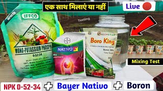 NPK 0-52-34   Boron   Bayer Nativo | mixing test Experiment agriculture technology