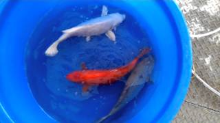 VID_20131022_220205.mp4(1)