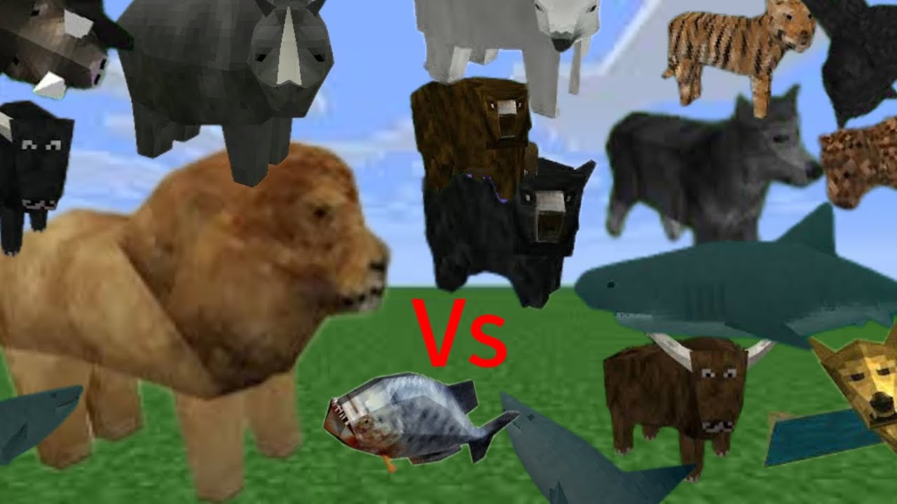 LION VS SURVIVAL CRAFT ANIMALS 