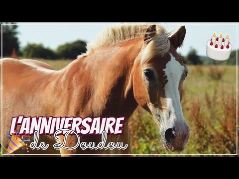 rox-fÊte-son-anniversaire-🎂🎉❤️