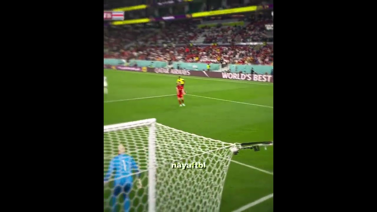 🤯 Unbelievable Pet Pranks! AI Chatbot Creates Hilarious Animal Antics! 😂🐾 