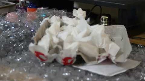 Hatching Button Quail Eggs with Homemade Incubator in Winter Part.1