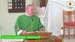 Confession: An Encounter with God's Mercy (15th Sunday in Ordinary Time)