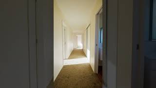Tour this FAMILY HAVEN in Mosgiel - Bayleys Real Estate 2024