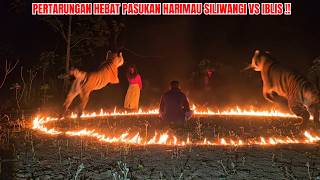 PERANG BESAR DI JAWA BARAT PASUKAN HARIMAU SILIWANGI MEMBABI BUTA !!!