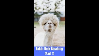 Fakta Unik Binatang (Part 1). #Shorts