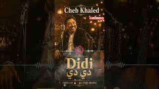 🎧 Cheb Khaled —  Didi  دي دي | Cover Live 🔥 #المغرب  #اكسبلور  #shorts  #song  #viral