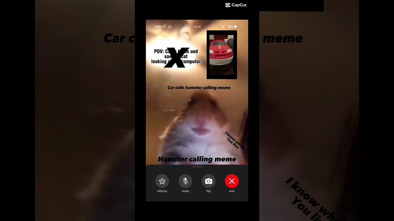 Hamster calling meme [OG VERSION]
