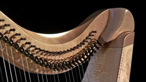 FH36S in maple, built by Dusty Strings