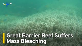 Australia's Great Barrier Reef Suffers Mass Coral Bleaching Event | TaiwanPlus News
