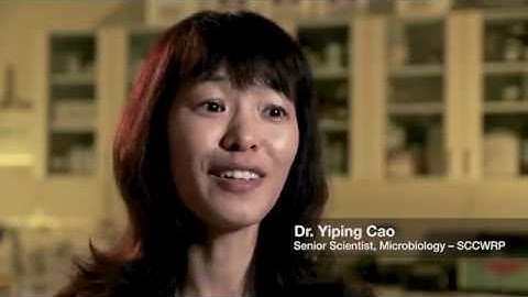 Droplet Digital PCR Using the Bio-Rad QX200™ and AutoDG™ ddPCR™ Systems