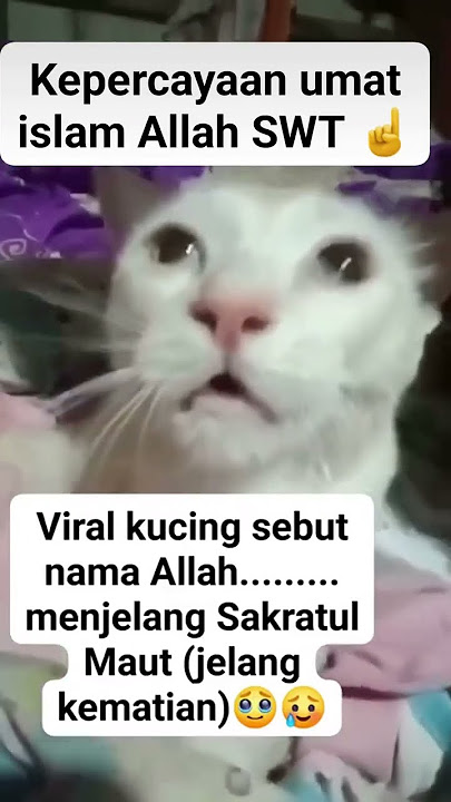 😭😭😭