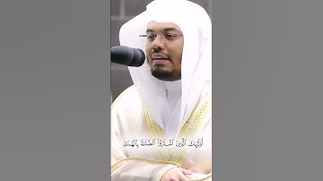 ما تيسر من سورة البقرة | الشيخ ياسر بن راشد الدوسري