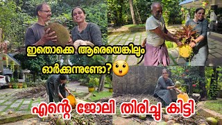 എന്റെ ജോലി തിരിച്ചു കിട്ടി?? | A day in my life | Malayalam Vlog | Breakfast - Lunch Recipes