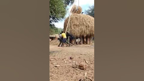 Simple Solutions For Complex Problems