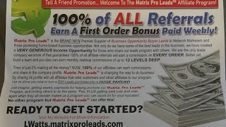 Matrix Pro Leads Affiliate Program Net Worth