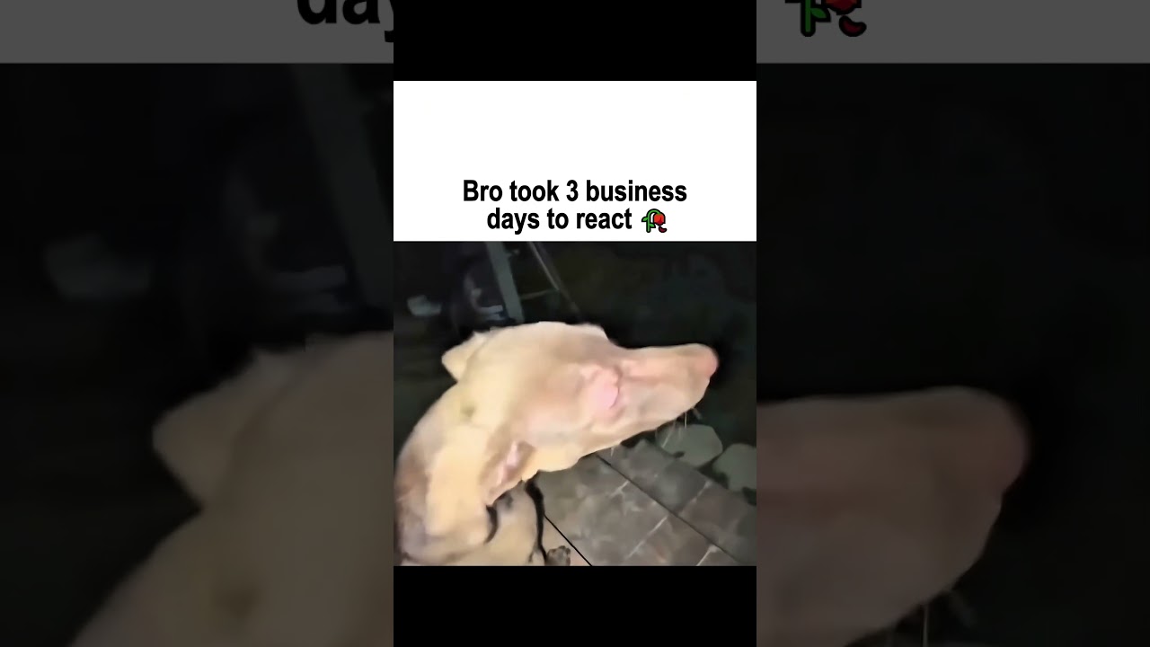 bro 😭
