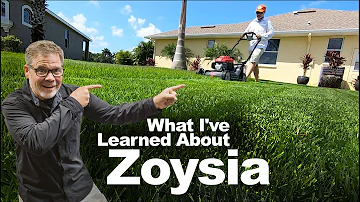 What is the best fertilizer for zoysia grass?