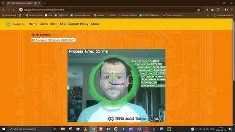 Liveness Detection Demo