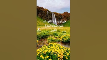 تلاوة عطرة للشيخ ياسين الجزائري HOLY QURAN