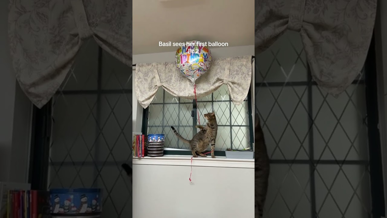 I’m loving this series  