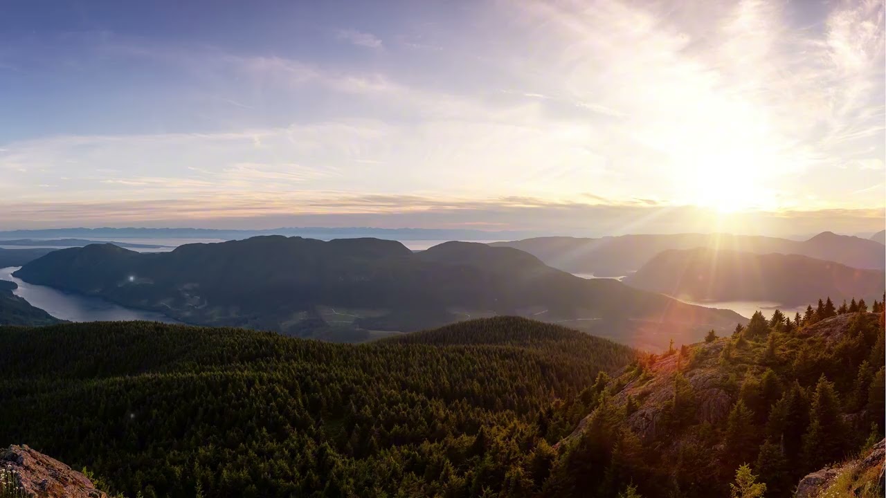 Soft Chinese Relaxing Music 🌙 Guzheng & Dizi for Study, Work, Stress Relief | Calm Evening Tea