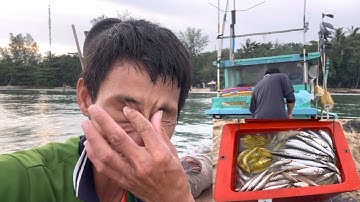 Lưới cá đục | nghề lưới cá đục may mắn kiếm vài triệu trong ngày | hoàng Phú quốc