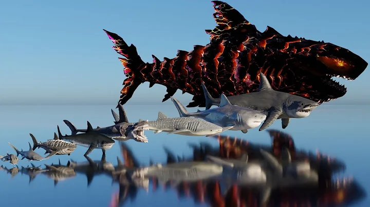 Shark & Megalodon Size Comparison.