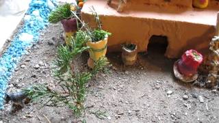 Hopi Pueblo Project 4