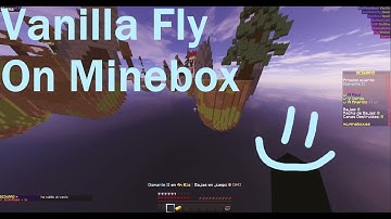 Vanilla fly on Minebox - Minebox Hacking