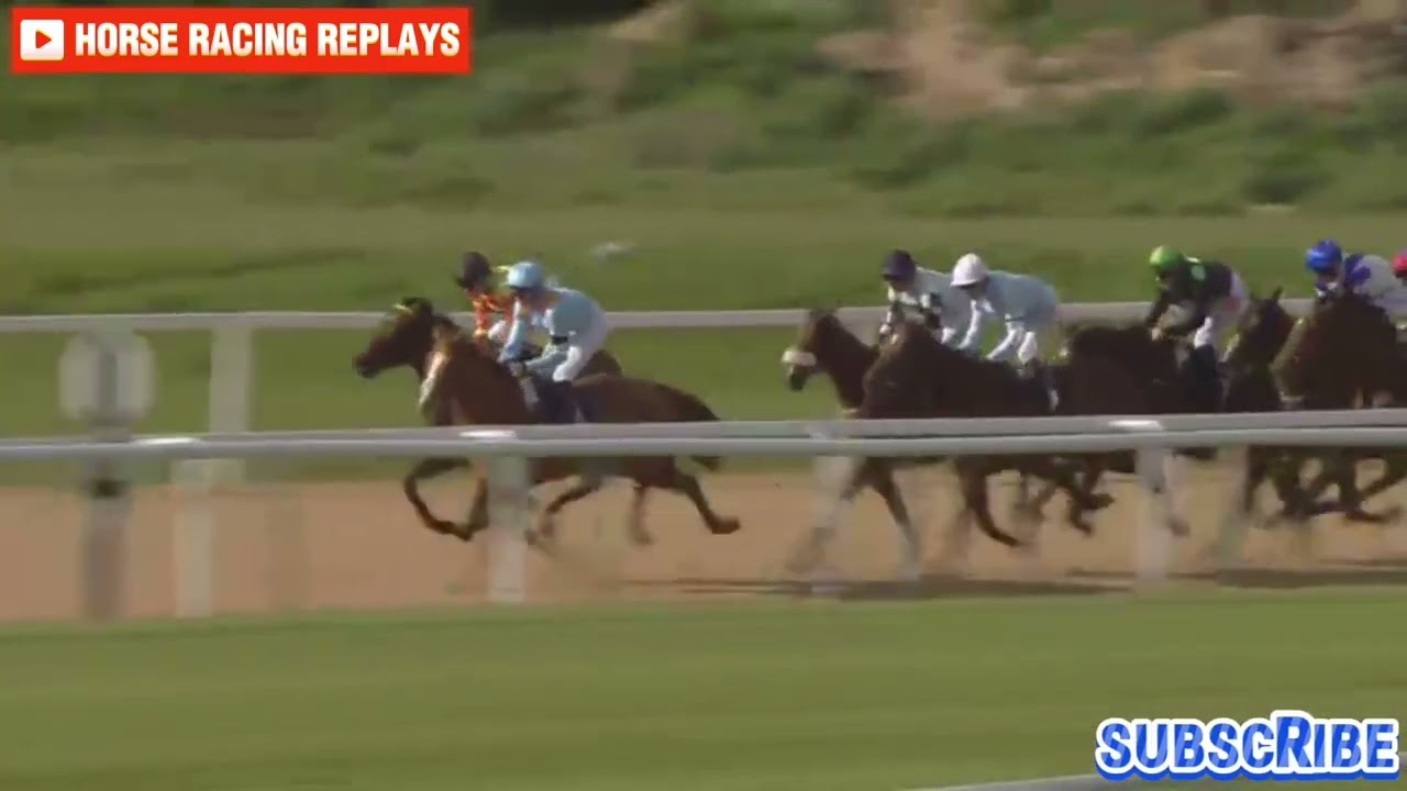 NEW IMAGE / 8 Race Southwell 28 Apr 2024