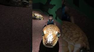 Oliver In Zoo Snake Reptopia