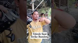 Teknik Melepas Ikan Bandeng Dari Rangkaian Kail ‼️