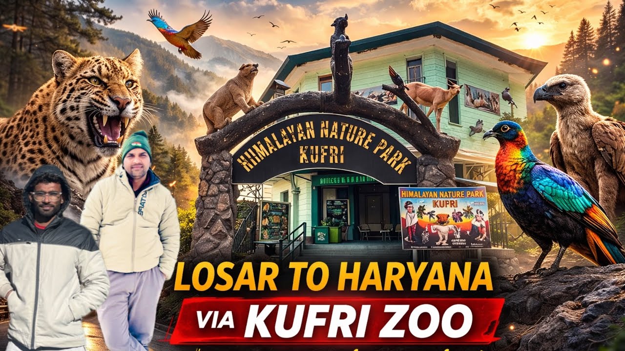 लोसर से हरियाणा तक रात का सफर और गाड़ी में सोना | Kufri Zoo Full Tour | Road Trip | @LATHWALRIDER 