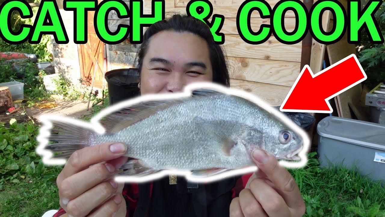 Catch Cook Freshwater Drum Sheep Head Gaspergou YouTube