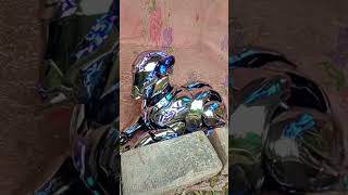 saybork.#shorts#youtubeshorts#viralshorts#trending#viral
