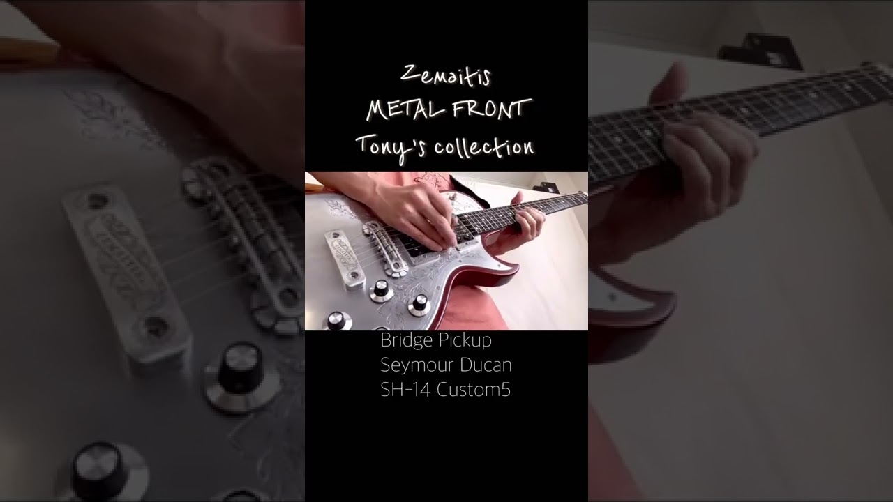 ☆Seymour Duncan SH-14 CUSTOM5 : ジナパパ一家の何てことない日常