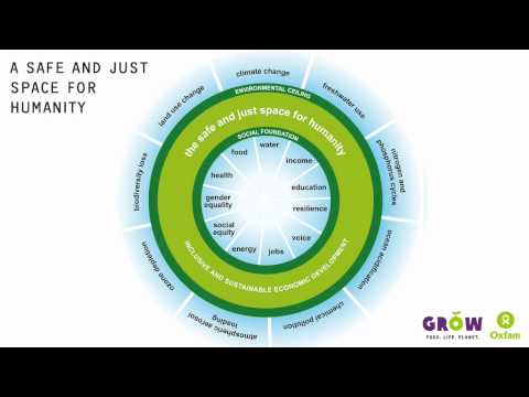 Introducing 'The Doughnut' of social and planetary boundaries for development