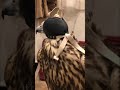 محمد المقحم الرجال الطيبين