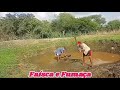 Faisca & Fumaça Em Busca Do Ouro