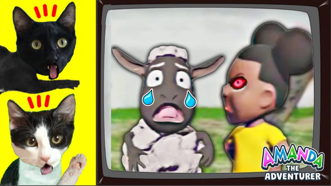 Amanda the adventurer pero jugando con gatitos Luna y Estrella / Videos de gatos en español